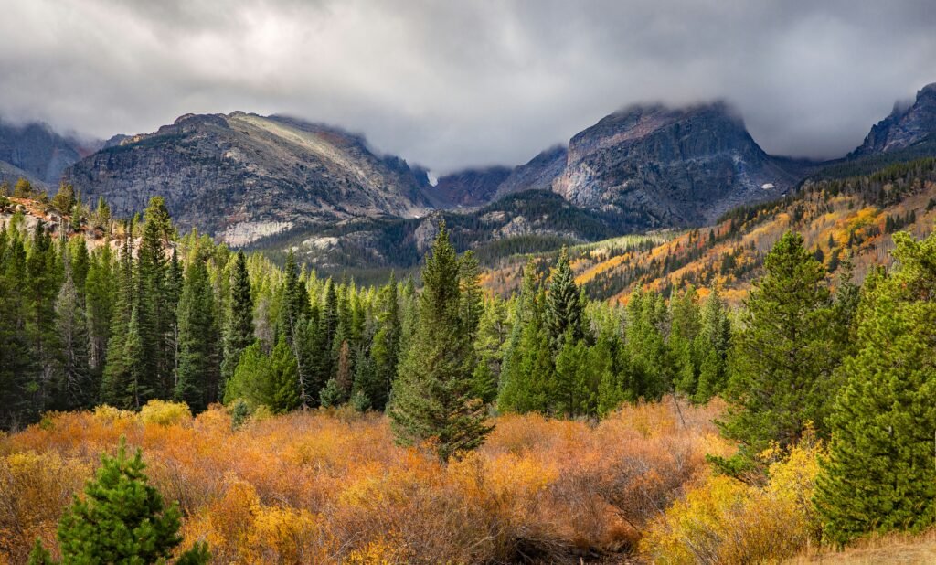 Vista de bosque y montañas en el Parque Nacional Rocky Mountain