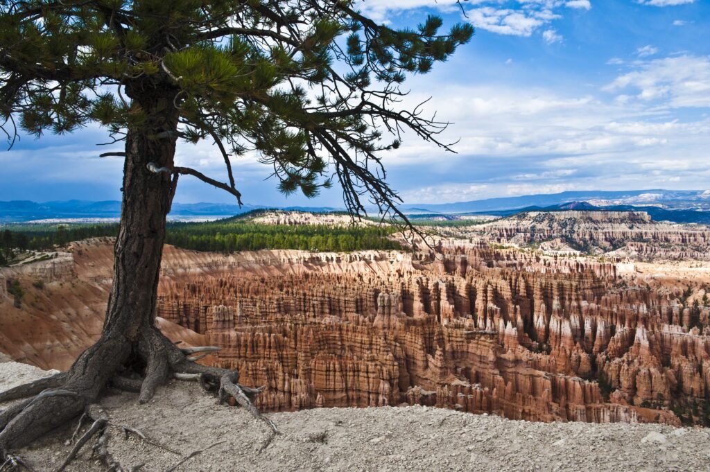 Vista de los hoodoos de Bryce Canyon desde lo alto del mirador