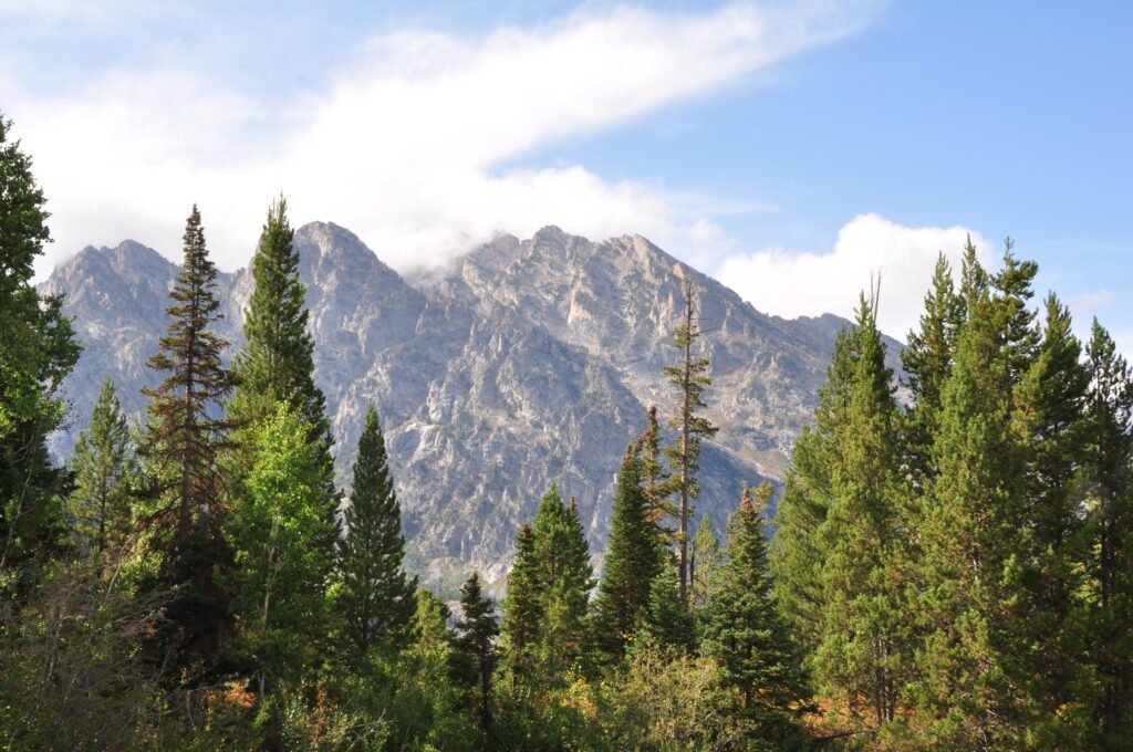 Vista de las montañas en el Parque Nacional Grand Teton