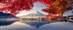 viaje organizado a japón